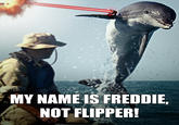 MY NAME IS FREDDIE NOT FLIPPER
