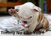 Timmy No Like