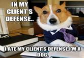 IN MY CLIENTS DEFENSE.. ATE MY CLIENTS DEFENSE:IMA DOG
