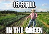 IS STILL INTHEGREEN