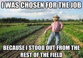 WASCHOSEN FOR THEJOB BECAUSE I STOOD OUT FROM THE RESTOFTHE FIELD