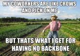 MY COWORKERS ARE LIKE CROWS AND PICKON ME BUT THATS WHAT IGET FOR HAVINGNO BACKBONE