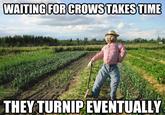 WAITING EOR CROWS TAKESTIME THEYTURNIP EVENTUALLY