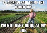 SOACROW SAID TO ME THE OTHERDAY 'M NOT VERY GOOD AT MY JOB