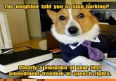 The neighbor told you to ston barking? Clearly a violation of your first amendment freedom of speech rights. MEMEANIMALS.COM
