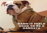 DAMN IT FEELS GOOD TO BE A GANGSTA