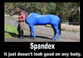 Spandex Spandex It just doesn't look good on any body.