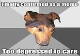 Finallyconfirimed asa meme Too depressed to care