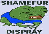 SHAMEFUR DISPRAY