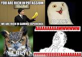 YOU ARE RICH IN POTASSIUM. O RLY? WE ARE RICH IN GAMING EXPERIENCE A RLYVYYYYYEEEEEAAAAAAAAA