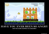 Angry Birds LOOOL HanseoRE 44190 SCRE 0 HAVE YOU EVER BEEN SO ANGRY THAT YOU FLUNG YOURSELF AT A BUILDING? DIY.DESPAIR.COM