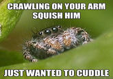 CRAWLING ON YOUR ARM SQUISH HIM JUST WANTED TO CUDDLE quickmeme.com