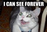I CAN SEE FOREVER