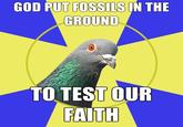 GOD PUT FosSiLS IN THE GROUND TO TEST OUR FAITH