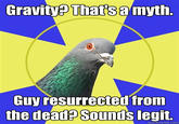 Gravity? Thats amyth. Guy resurrected from the dead? Sounds legit. quickmeme.com