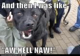 And then l was like "AW HELL NAW! IO A N H AS CHEEZ BLIR GER.COM 흡 류