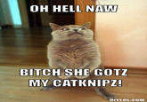 OH HELL NAW BITCH SHE GOTZ MY CATKNIPZ! DIYLOL.COM
