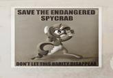SAVE THE ENDANGERED SPYCRAB DON'T LET THIS RARITY DISAPPEA