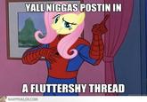 YALL N----- POSTIN IN A FLUTTERSHY THREAD NARWHALER.COM