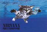 NIRVANA EVERNING