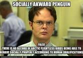 SOCIALLYAKWARD PENGUIN FALSE THERE IS NO RECORD OFARCTIC FLIGHTLESS BIRDS BEINGABLETO BEHAVE SOCIALLY PROPERLYACCORDING TO HUMAN QUALIFICATIONS