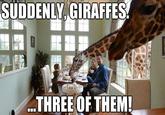 1e6.jpg SUDDENLY GIRAFFES THREEOF THEM