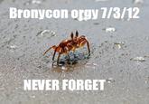 Bronycon o--- 1/3/12 NEVER FORGET
