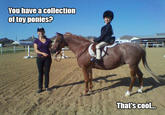 You have a collection of toy ponies? That's cool
