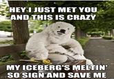 HEY! JUST MET YOU. AND THIS IS CRAZY MY ICEBERG'S MELTIN SO SIGN AND SAVE ME