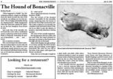 10 THE INDEPENDENTaocicr 0athma The Hound of Bonacville By Kitty Merril So- what was it? What happened to Huffy?" Jay Sch Was it indeed the beloved, if entirely neiderman sobbed. a single tear trickling fictitious, Fluffy? down his cheek towards the side of his the torture of the doomed mouth he was talking out of at the mo- creature responsible for the unearthly ment. "He was happy and healthy during sounds emanating from the bowels of my administration Fluffy disappeared the historic Town Hal construction site? when the Democrats gained the major Theworker assigned to occasionally run ity on the East Hampton Town Board a backhoe back and forth in front of the site in an effort to give the llusion of Last week, fans of the adorable crit progress, reportedly adm itted to feeling ter feared the worst when a malformed spooked carcass washed up on the beach at Ditch OK none of that actually happened Plains in Montauk fomenting al man But imaginations did run a lite wild ner of speculation.and... and... last week after the corpse pictured on this page was found on the beach above Not to mention revulsion the high tide line in Montauk. Flies cavorted upon the naked corpse. Editor Rick Murphy thought perhaps Theoncerobust figure covered with soft it was Satan, and that the devil's demise and pettable fur, was, witnesses noted meant only good things would happen with dread, utterly absent its coat, save henceforth. But, since he was still at the occasional individual strand sticking the helm of the paper, staff argued the out, as if it had been skinned by an evil theory was flawed. tormentor This was found on the beach in Moatauk last week. Can yousay "Eww Some who saw it thought it might be a giant turtle sans shell, while others on Natural Resources Director wondered whether t wasn't an esaped Larry Penny and Doug Johnston, of mutant victim of diabolical experiments Bandit Trappings and Pest Control, both taken by the sea from Plum Island.It decmed the deceased a raccoon with its looked like it had a beak and molars, upper jaw missing and (shudder) human hands! Priorto contact from this paper, nooth A less fanciful observer speculated er local agencies were alerted to the grisly it was a raccoon someone killed and discovery. According to a member of the skinned-a portion ofthe remaining fur crowd of gawkers that gathered around on one leg appears to have been pulled the fly-rid dled carcass, someone took it down. That one was the closest conjec away...to be buried... we hope. ture affirmed by experts www.lirestaurants.com Easy to navigate Selected Menu's Listings by area Restaurant Review Listings by cuisine Special offers kmerGiniastend.conm