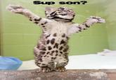 Sup son?