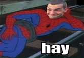 917.png hay