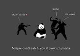 WOW! Oh, it's so cute it's so rare Ninjas can't catch you if you are panda