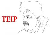 TEIP 之