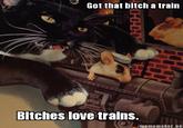 Got that bitch a train Bitches love trains. mememaker.ne