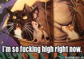 I'm so f------ high right now mememaker.ne