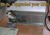 bf5.jpg Oh hi, upgraded your RAM.