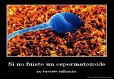 Si no fuiste un espermatozoide no tuviste infancin