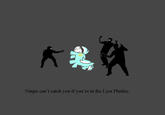 Ninjas can't catch you if you're in the Lyra Plushie.