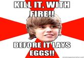 KILL IT. WITIH FIRE! BEFORE IT LAVS EGGS! memegenerator.net