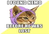 O FOUND NEMO BEFORE HEWAS LOST