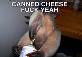 CANNED CHEESE F--- YEAH olds AWDER NCTORE