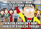 IPYOU DI IFYOU DIDN'TWANT TOSEE PONY P--- THEN YOUSHOULDN'T HAVE LOOKED ATA RULE34 memeWOW.com