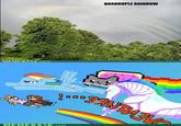 QUADRUPLE RAINBOW COM