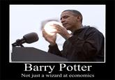 Barry Potter Not just a wizard at economics