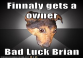 Finnaly gets a owner Bad Luck Brian