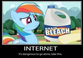 BLEACH BRAINN INTERNET It's dangerous to go alone, take this.