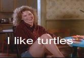 I like turtles