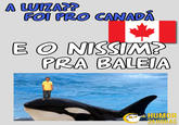 FOI PRO CANADA E O NISSIM PRA BALEIA SHUMOR 24HORAS