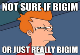 NOT SURE IF BIGIM OR JUST REALLY BIGIM